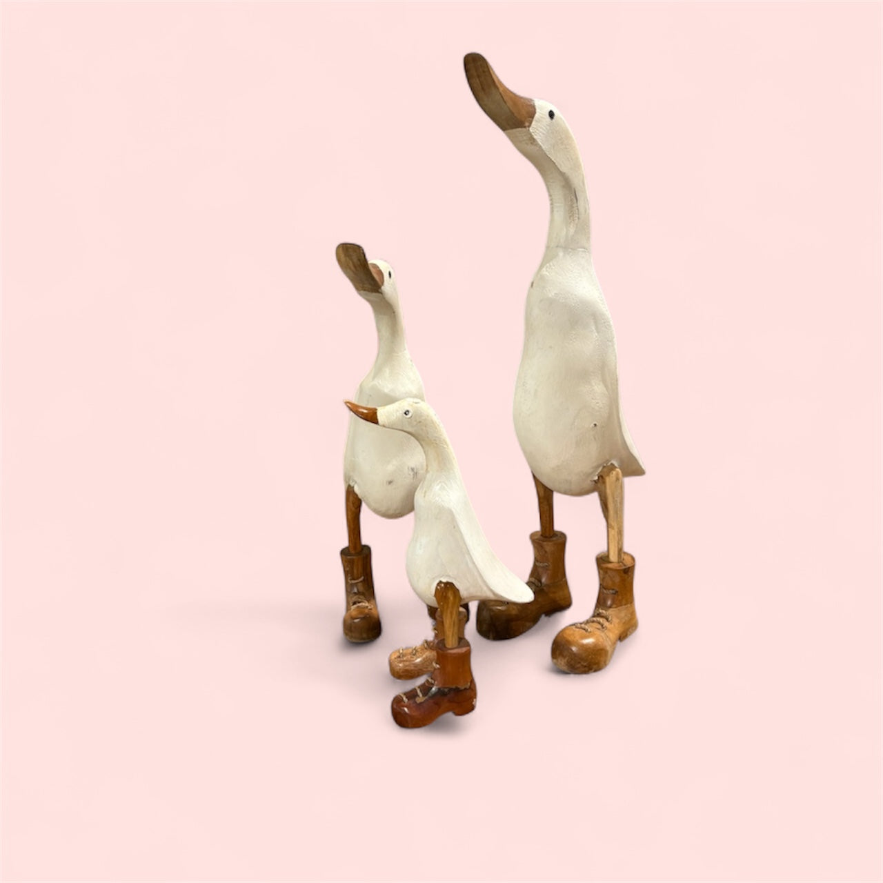 Quack quack Duck Set