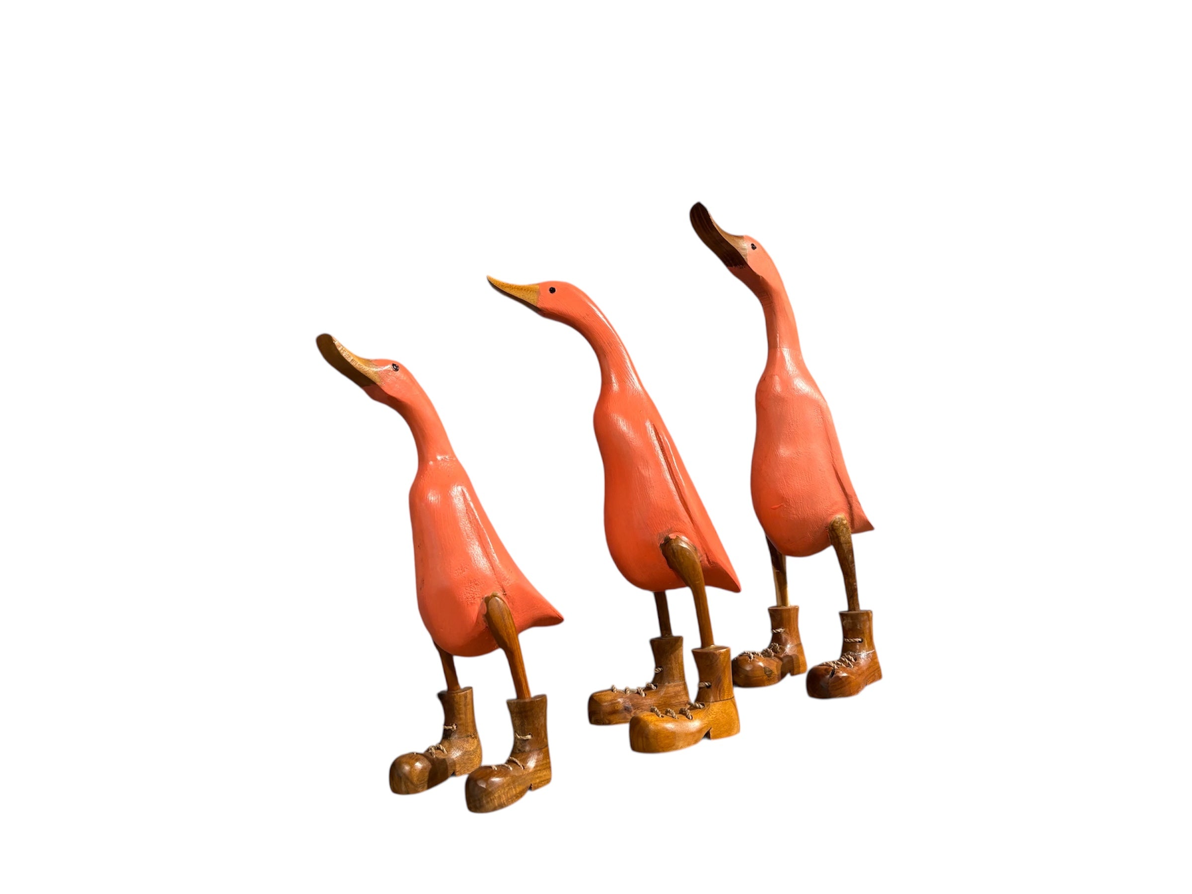 Quack quack Duck Set