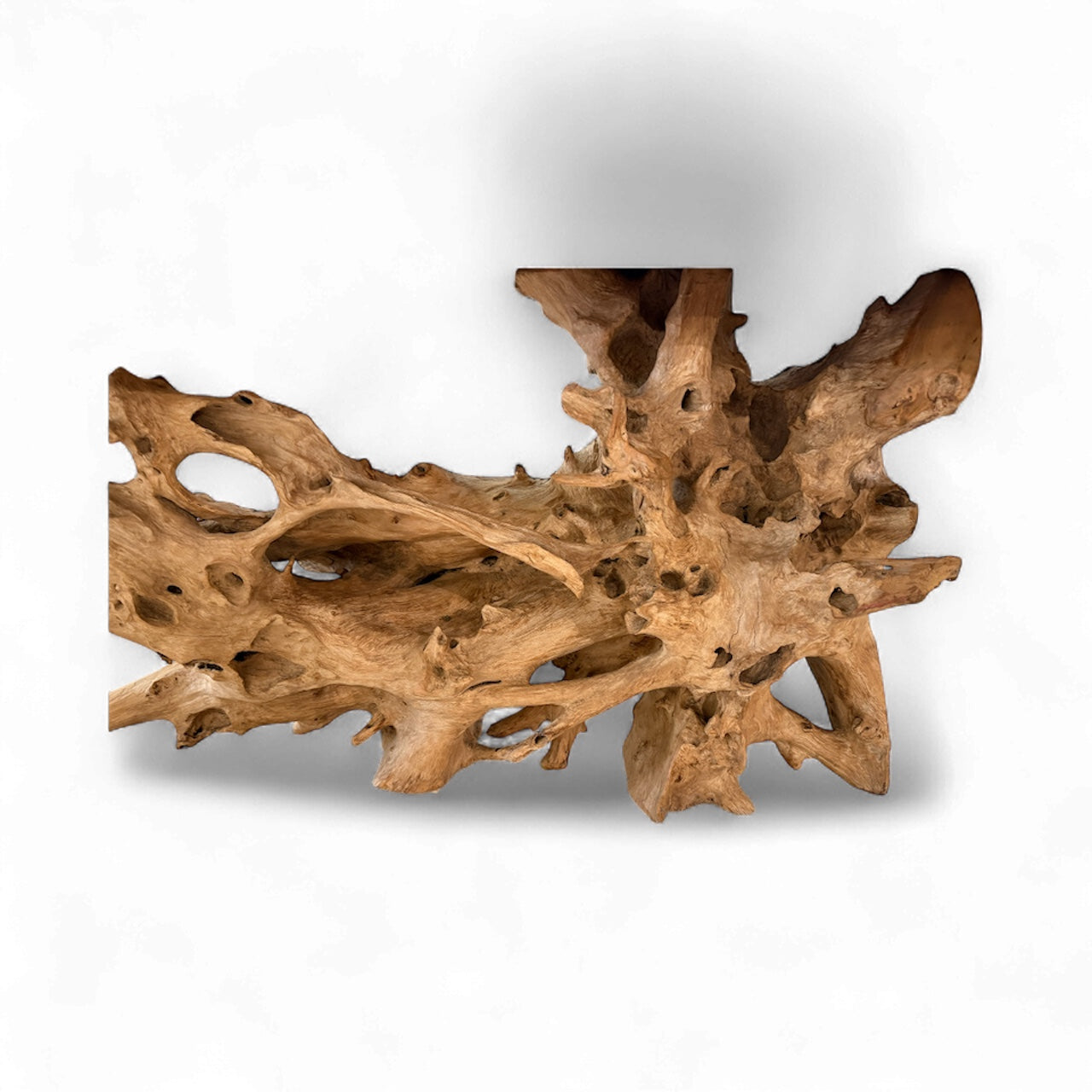 Life edge Teak Table 9'6"