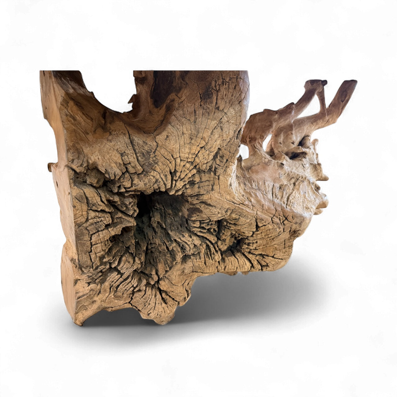 Life edge Teak Table 9'6"